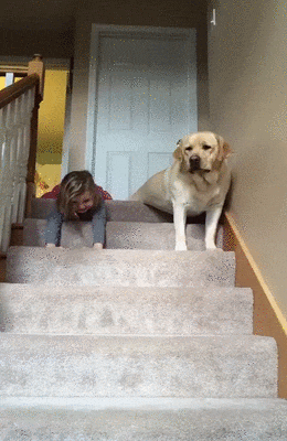 1FgZ0UF.gif