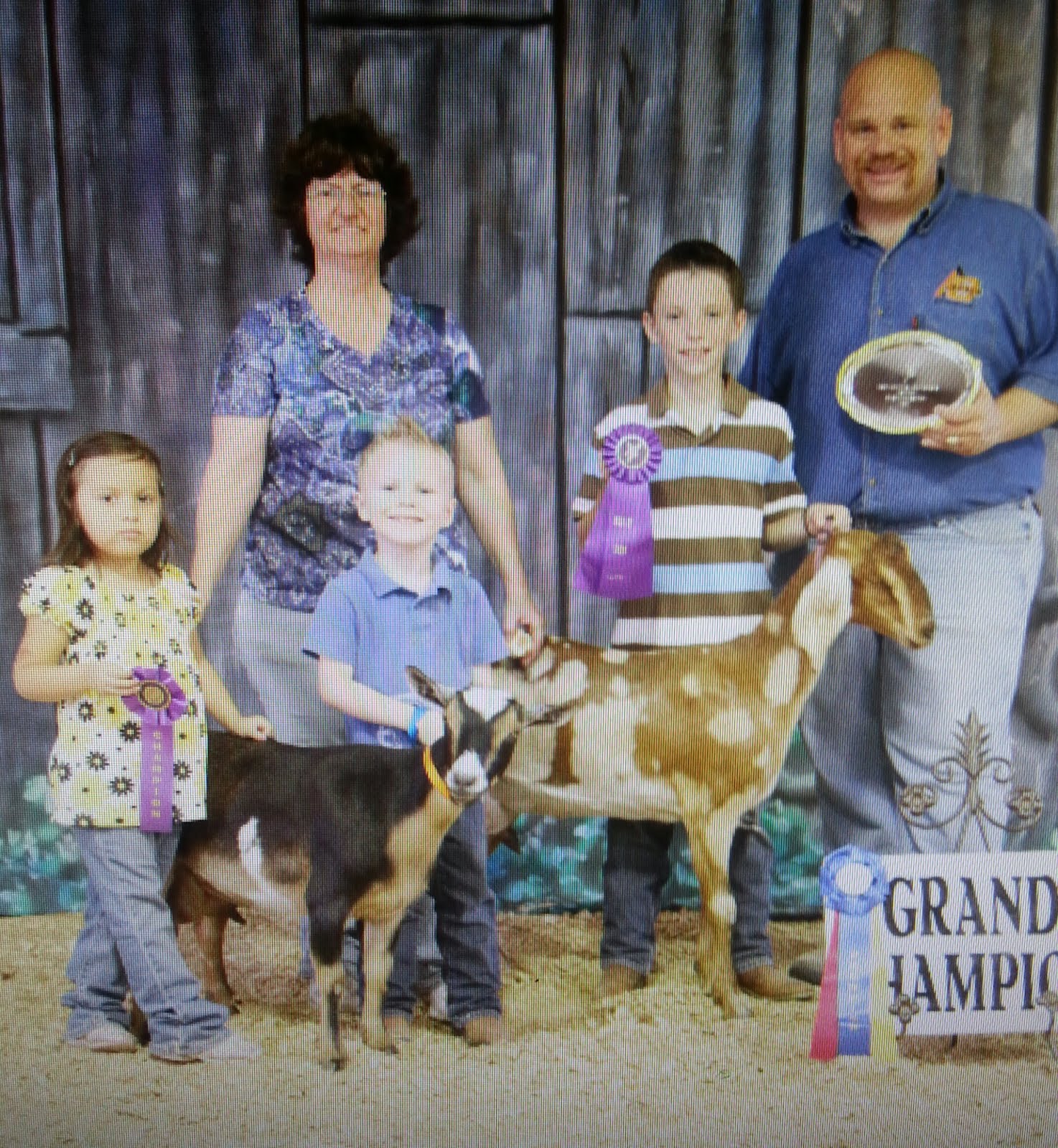 Sequoyah Gems Dairy Goats Goats For Sale