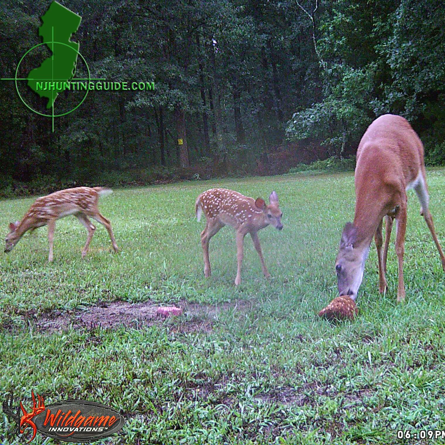 NJ Hunting Guide Booking fall bow and permit bow hunts now