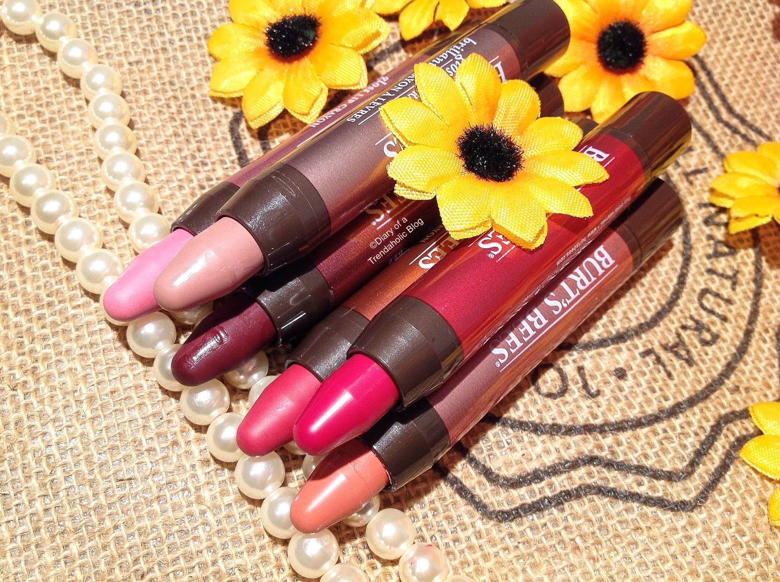 Diary of a Trendaholic Burt’s Bees Gloss Lip Crayon Review
