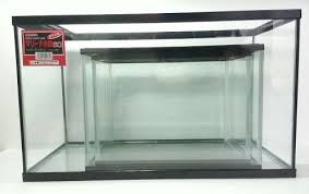 Tips Memelihara Ikan Hias Air Tawar Di Aquarium Kaskus