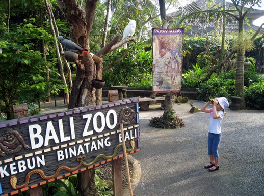 Pesona Keindahan Wisata Bali Zoo Park di Sukawati Gianyar Bali - IhateGreenJello