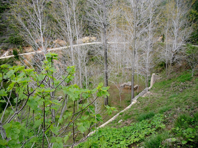 Font de Melero