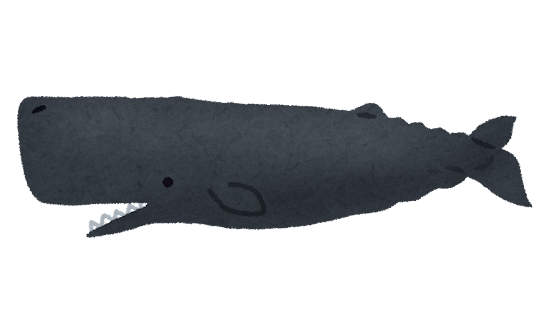 マッコウクジラのイラスト（鯨）