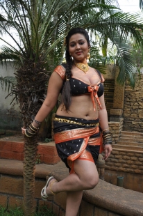 Actress Hot Spicy Image Gallery Actress Hot Stills Actress Exposed andhramirchi.net