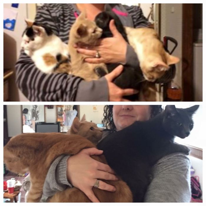 50 Heart-Warming Photos of Animals Growing Up Together - About A Year's Difference From Top To Bottom...minus 1 50 Heart-Warming Photos of Animals Growing Up Together - About A Year's Difference From Top To Bottom...minus 1