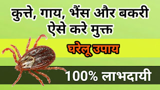 How to remove ticks from Dog, Cow, Buffalo and Goat