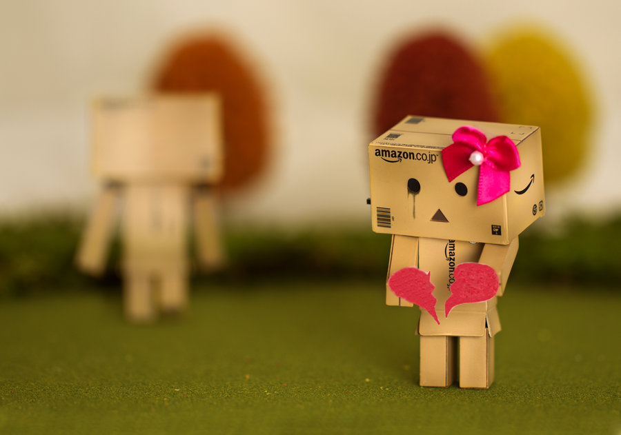 tierno danbo