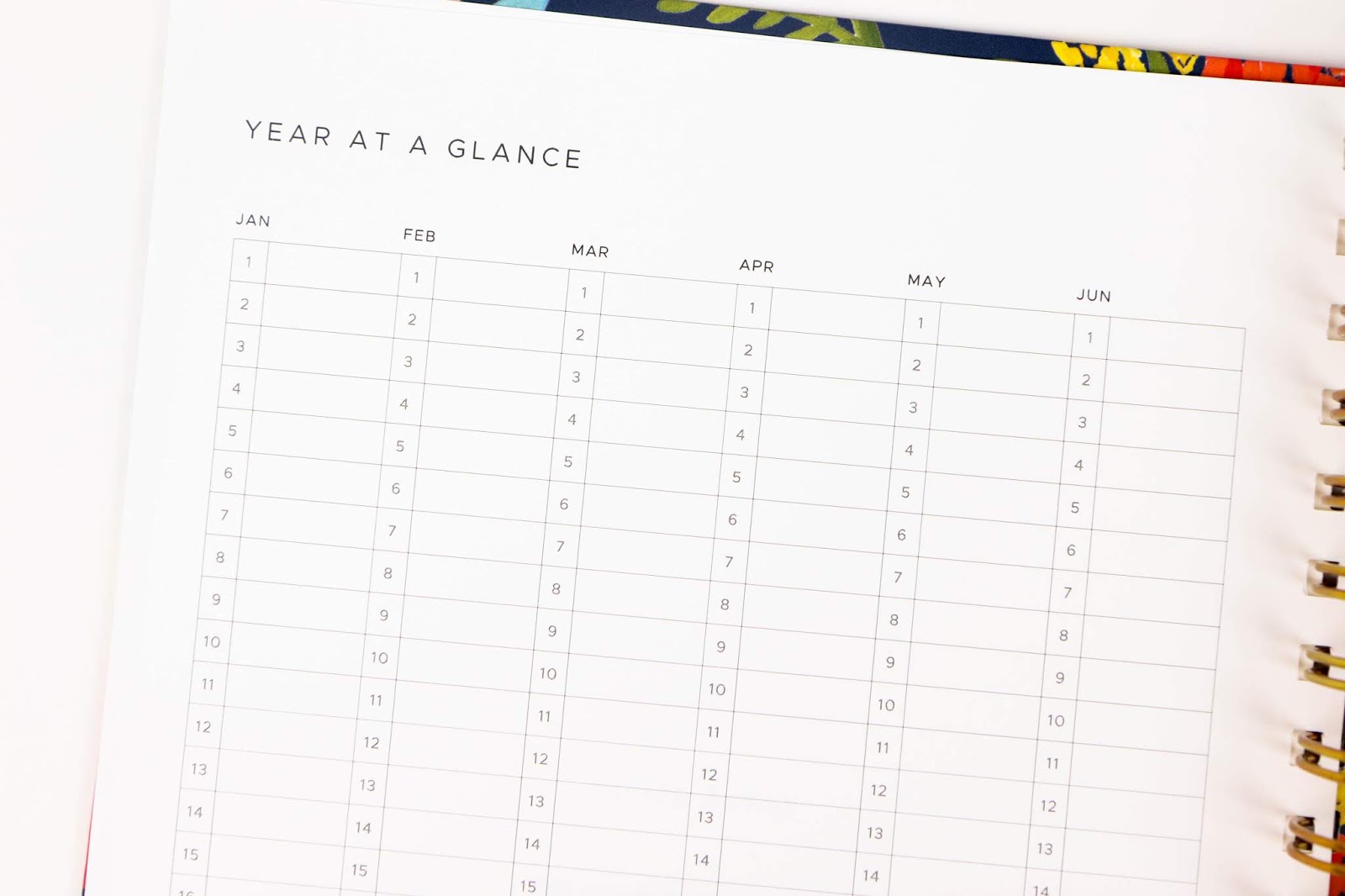 Golden Coil Planner Review The Best Planner for Serious Customization