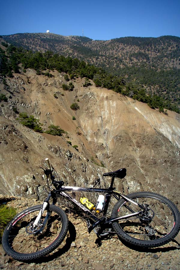 Bullet Ridden With Vermin