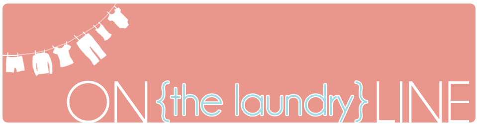 ON{the laundry}LINE
