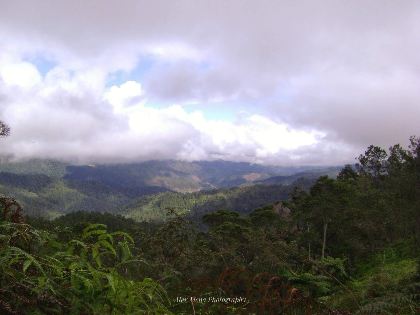 Alex Mena Photography Manabao, Jarabacoa, República Dominicana
