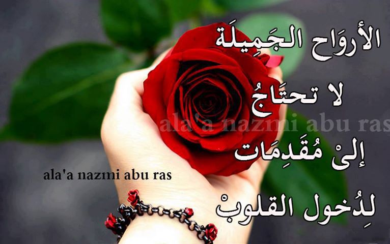 صور ورد مكتوب عليه 2018 اجمل عبارات مكتوبه على صور ورد يلا صور