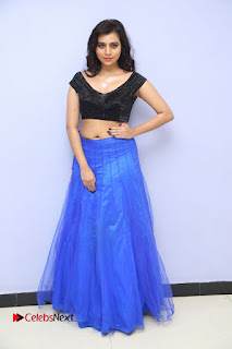 Actress Priyanka Stills at Janaki Ramudu Audio Launch  0336