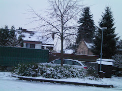 <<<---Mein Zuhause im Winter / Wickrath im November--->>>