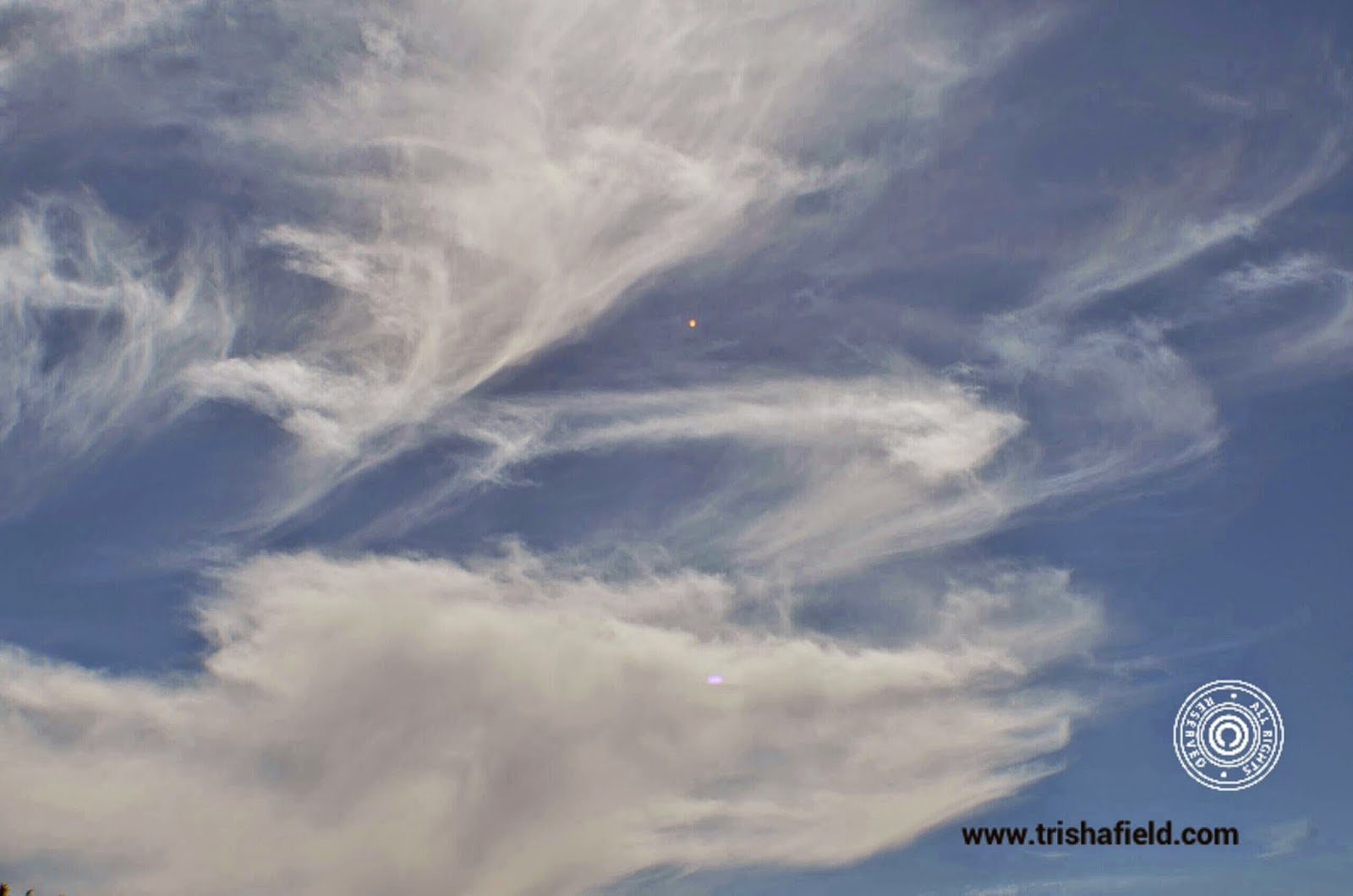 Angels Wings or a Dove being released from a hand
