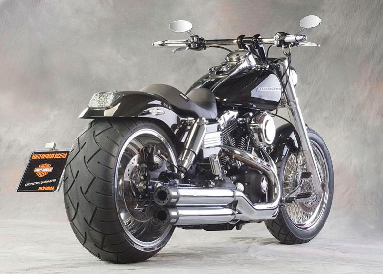 Harley Davidson Motorcycle Harley Fat Bob Custom