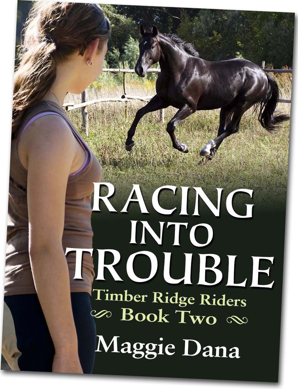 Satisfaction for Insatiable Readers: SUMMER READING: For those who love ...