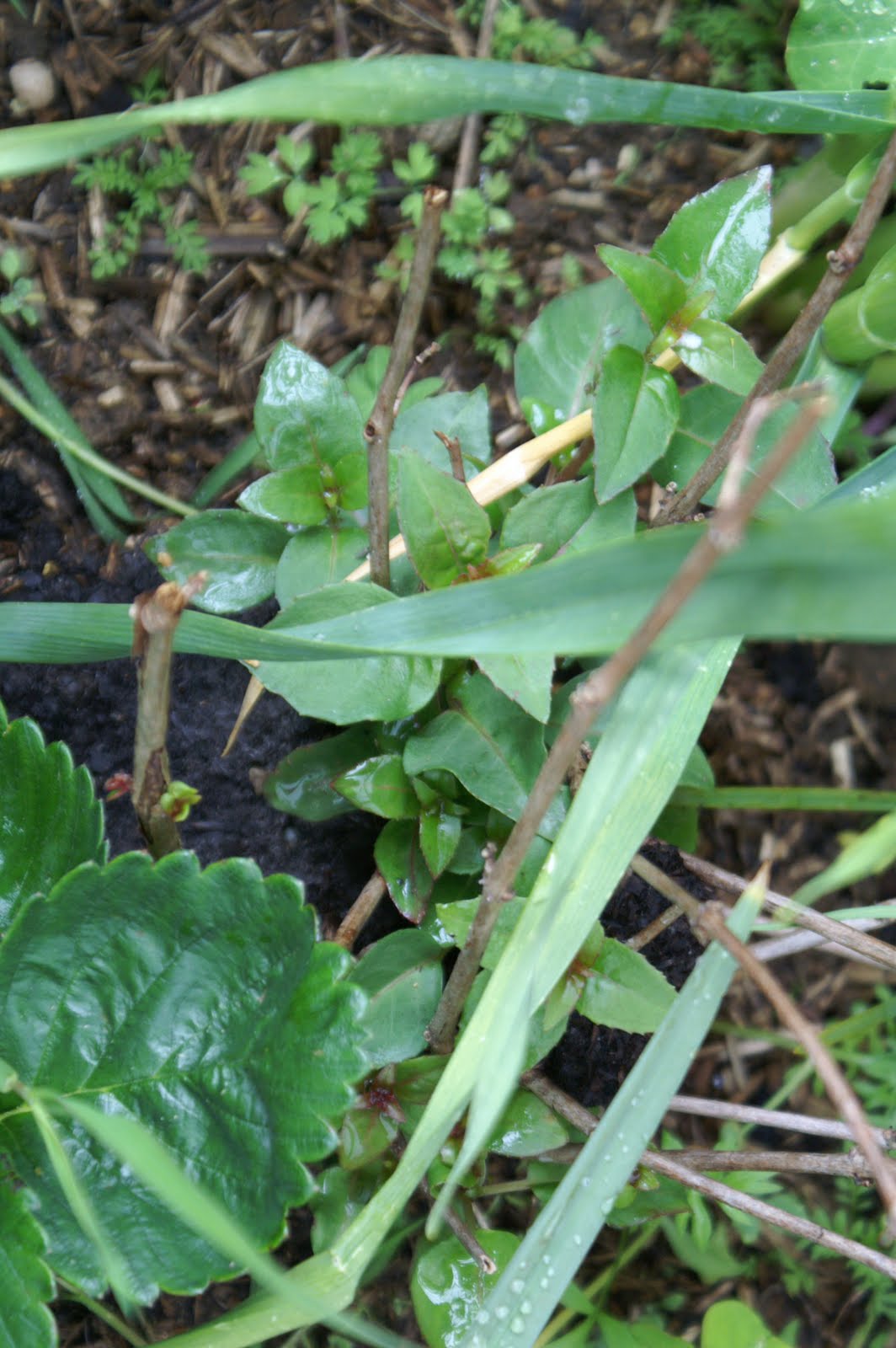 Doğayı Keşfederken Mayıs 2012