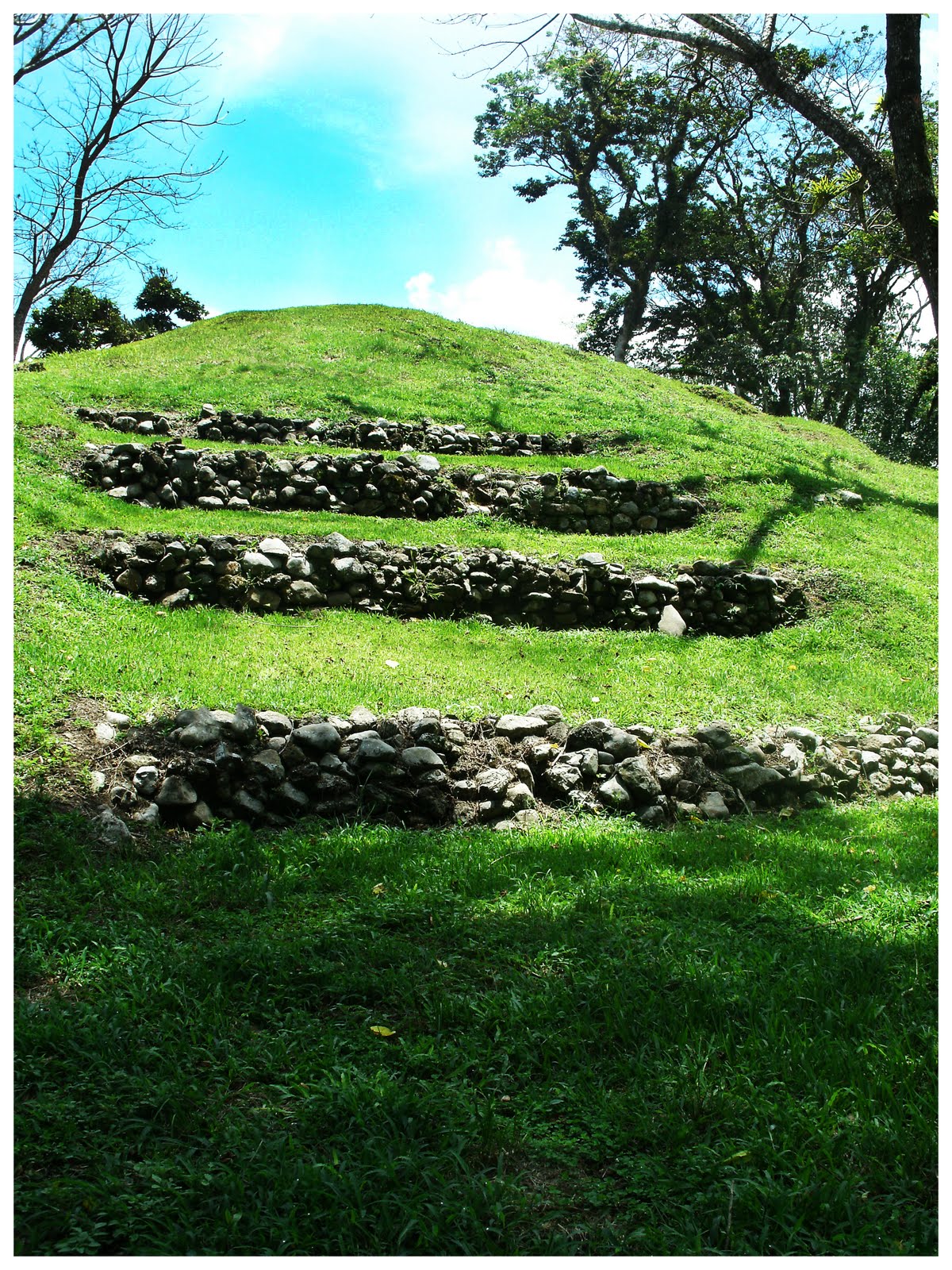 Ojos Latinos Parque los Naranjos Grupo 3