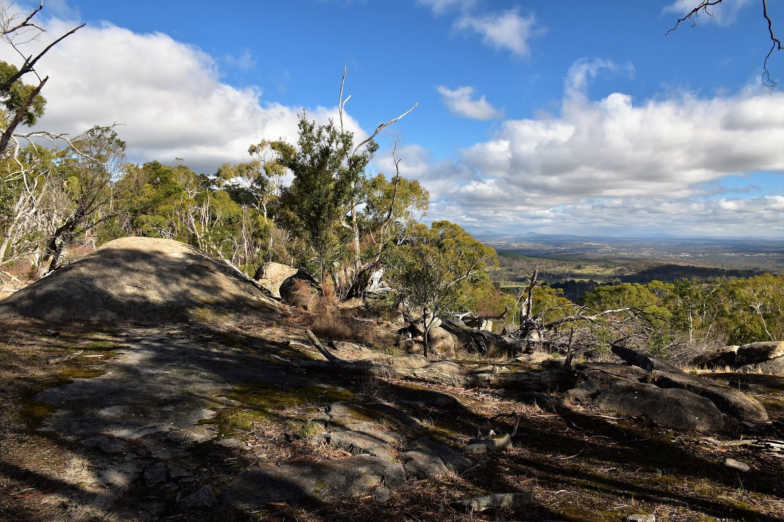 Goin' Feral One Day At A Time Mt Alexander, Mt Alexander Regional Park May 2018