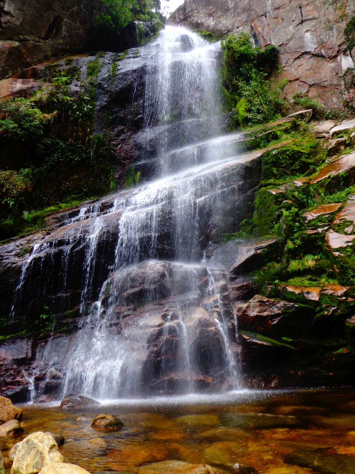 ECO Cenário: Parque Nacional da Serra dos Órgãos - Sede Petrópolis/RJ