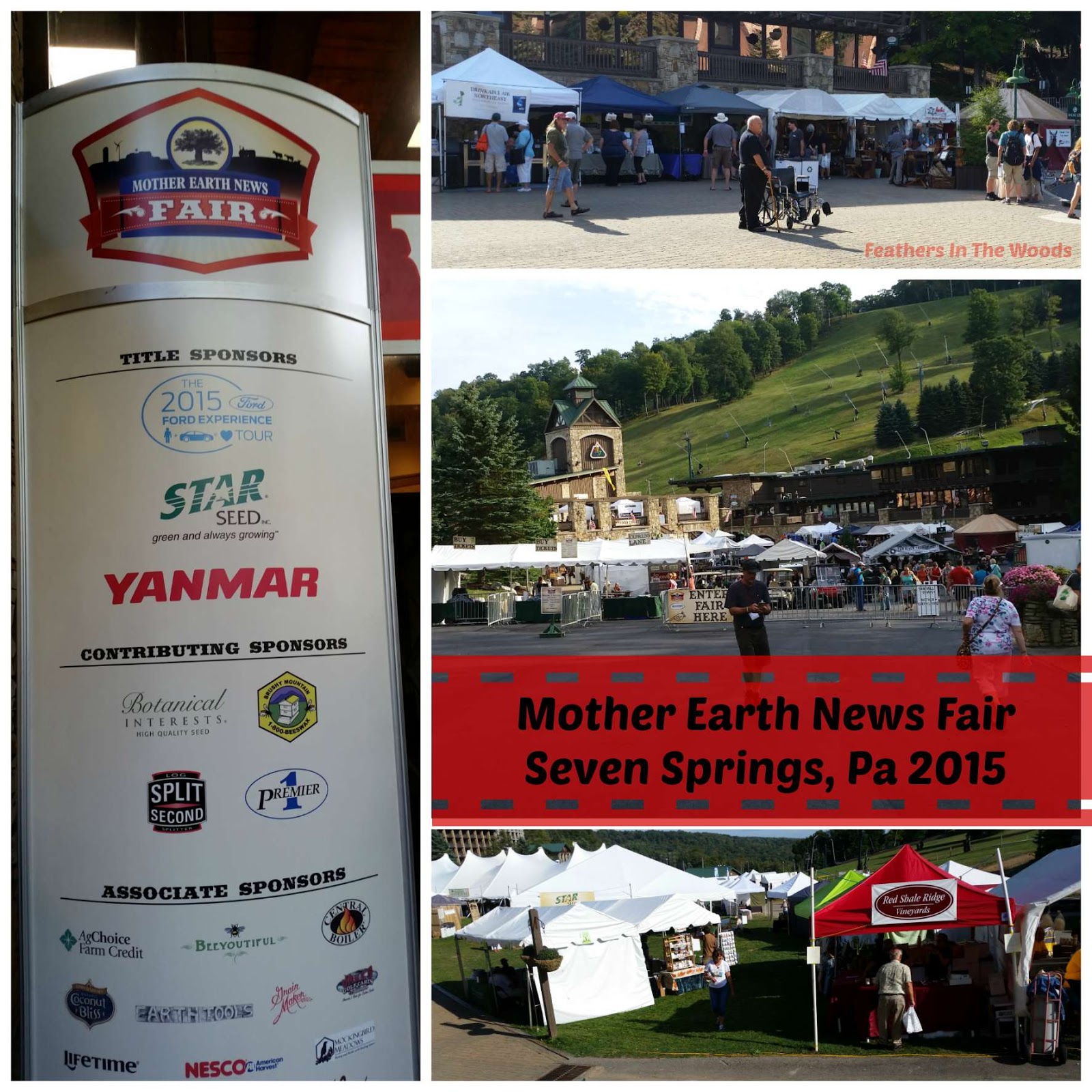 Mother Earth News Fair in Pennsylvania Feathers in the woods