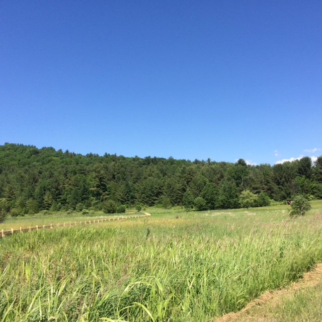 Travelogue for the Universe: Raven Ridge Conservation Area, Monkton,Vermont