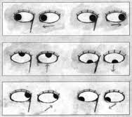 Blog De Todo un Poco sobre La Salud: GIMNASIA Y YOGA PARA LOS OJOS