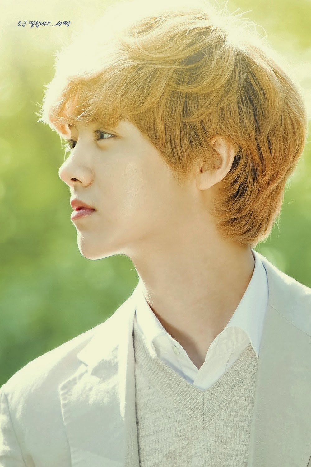 Forever a KPOPER ♥ EXO 엑소 Profile