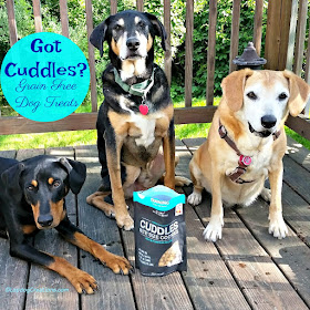 3 rescue mixed breed dogs the honest kitchen