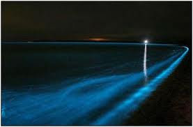 bioluminescent