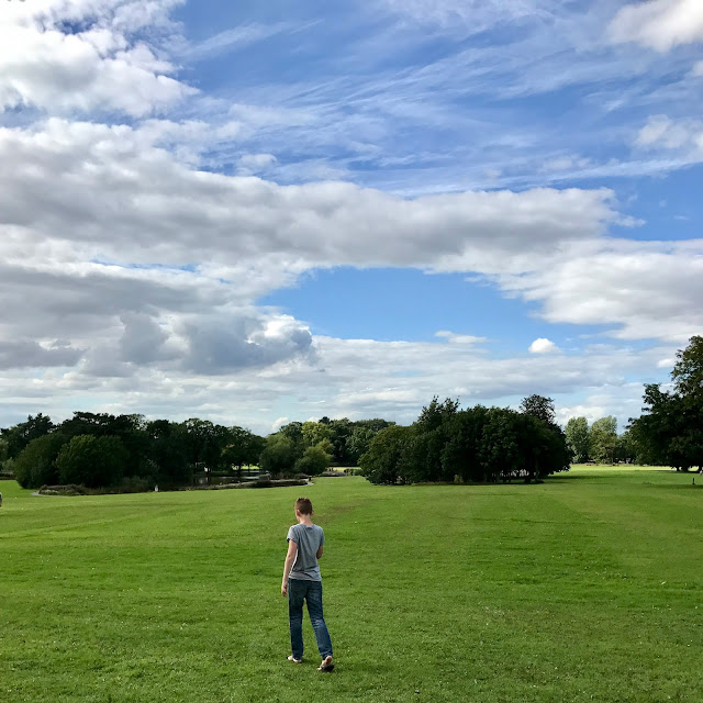 #PointShoot: Stewart's Park