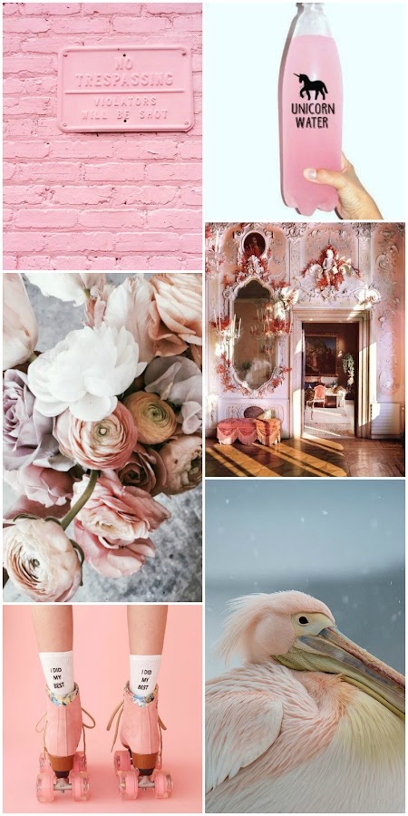 Collage. Decoración, Decor, Rosa, rose, pink