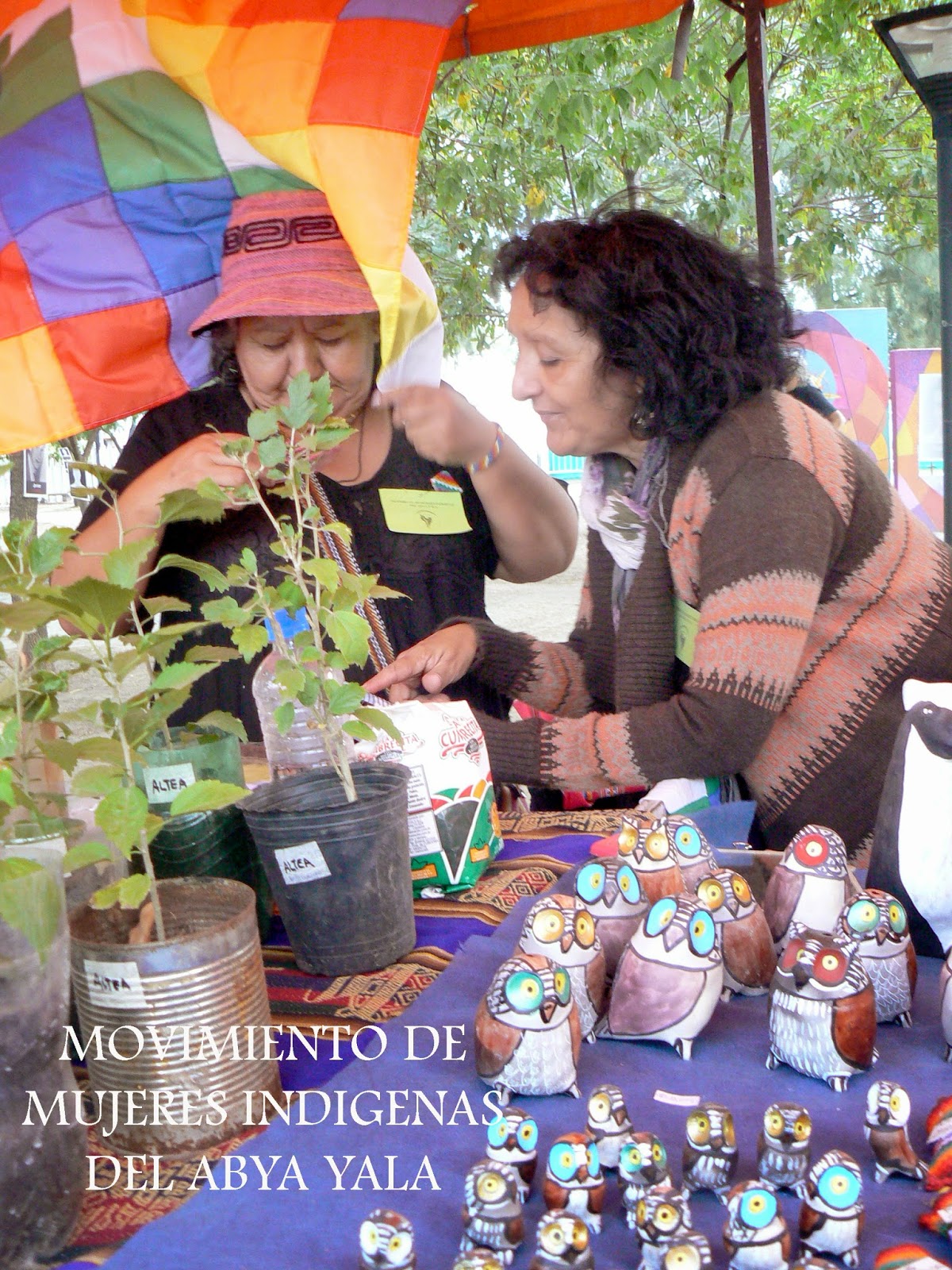 Movimiento de Mujeres Indigenas del Abya Yala