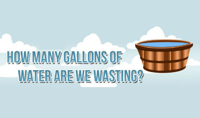 Image: How Many Gallons of Water are We Wasting?