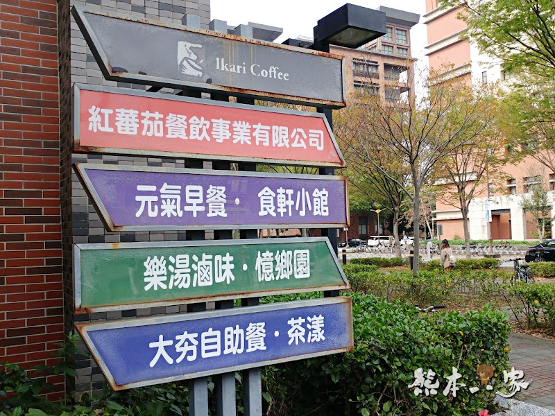 心湖櫻緣|三峽台北大學「心湖櫻花步道」-杜鵑、吉野櫻、木棉花齊綻放
