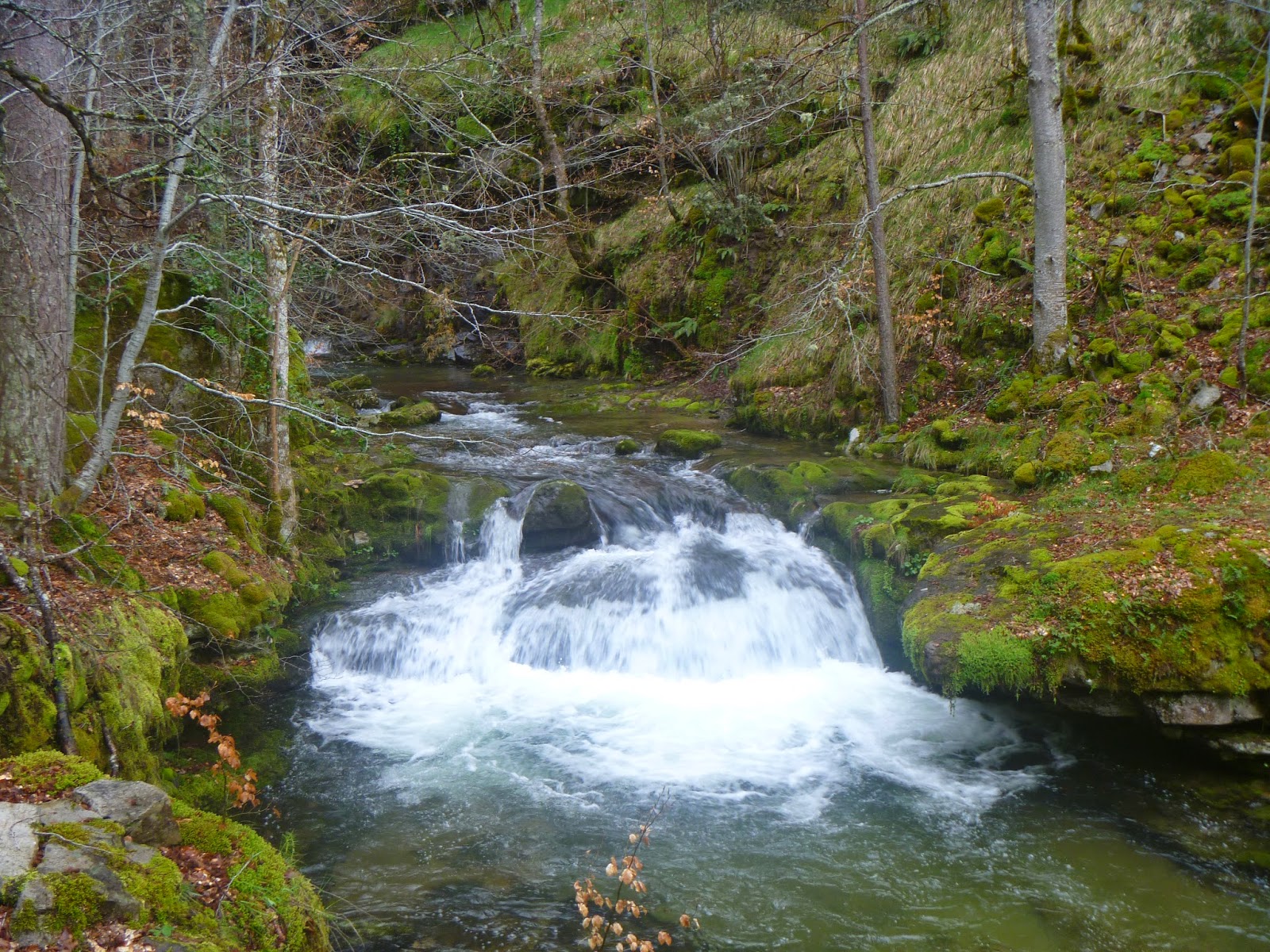 La Imagen de la Semana: Cascadas | Biosionarios