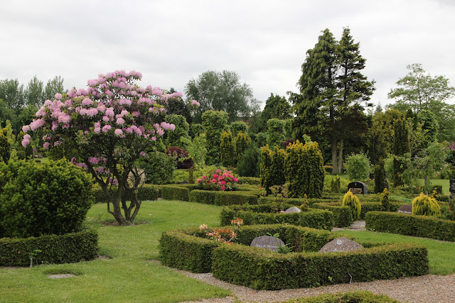 2015060530ribe.JPG