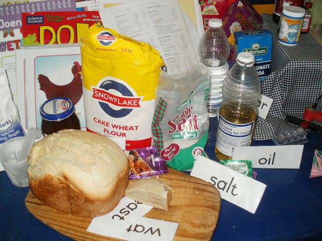 Grade R Ready Steady Go: Science and Experiments