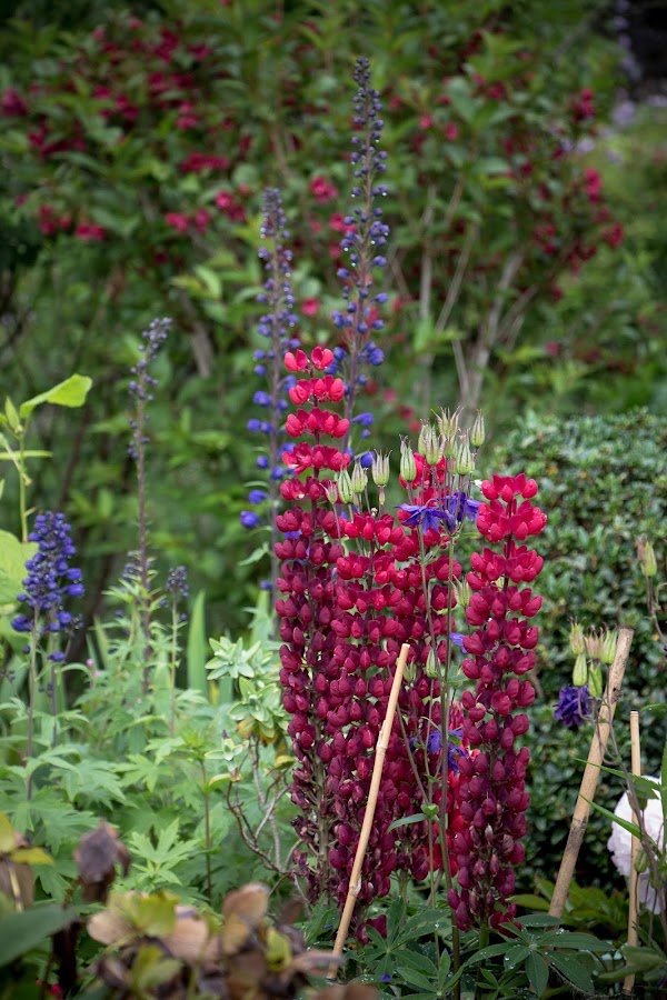 Escocia. Isla de Skye