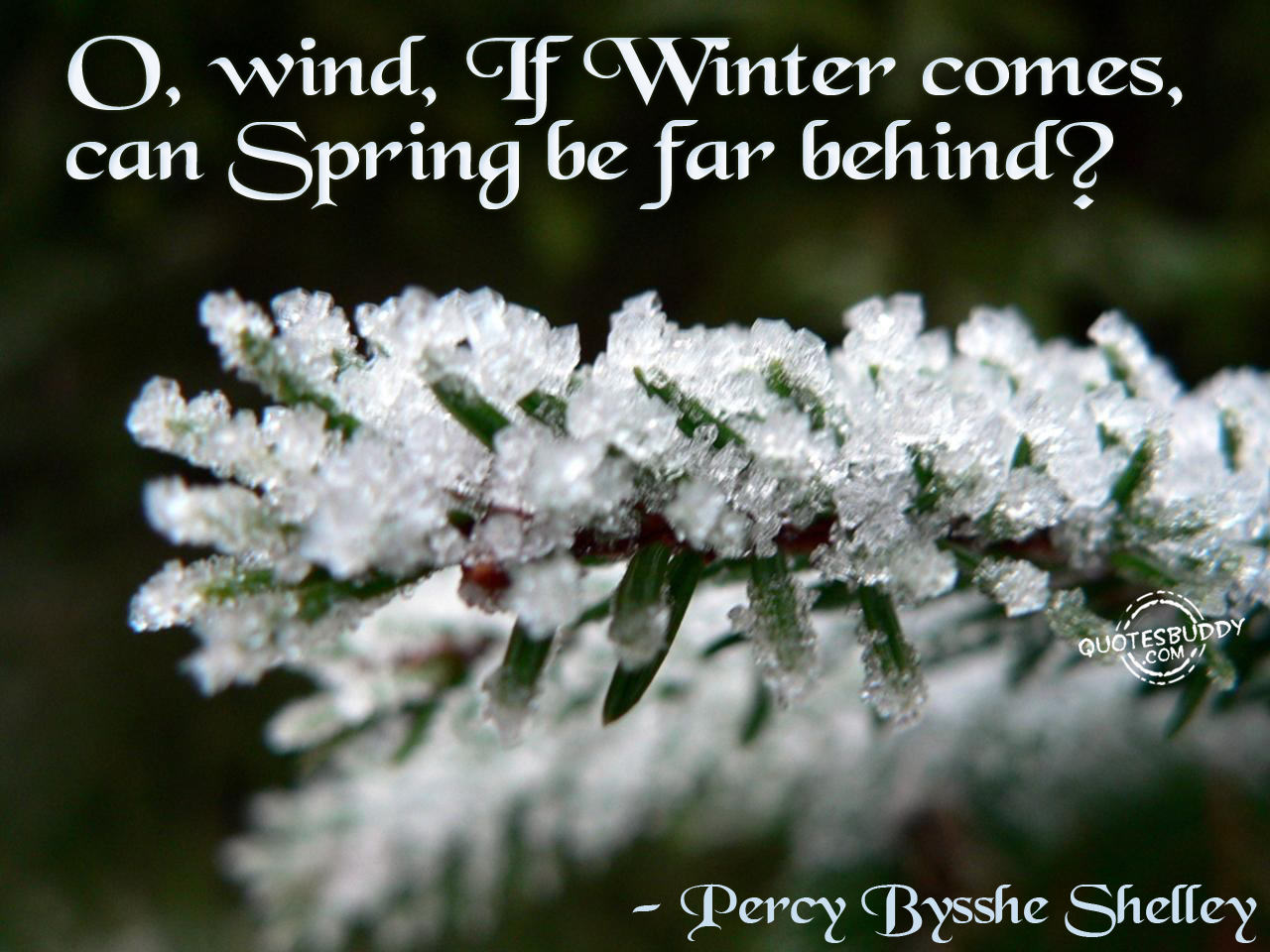 Best Winter Quotes. QuotesGram