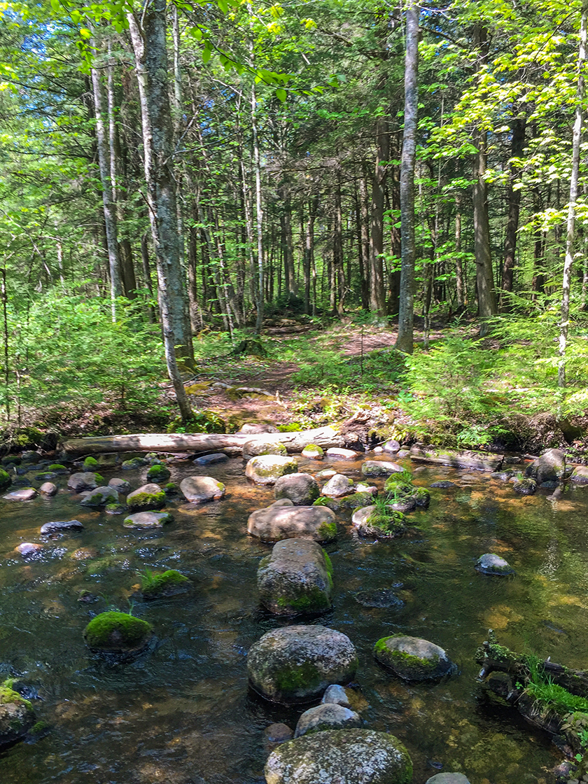 Ice Age National Scenic Trail - Plover River Segment