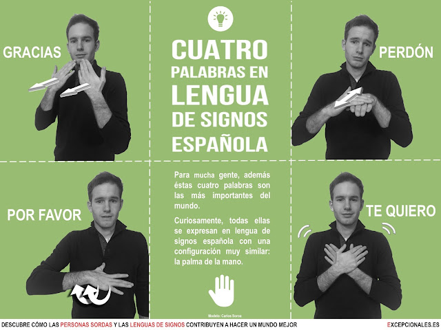 Infografía de cuatro palabras en lengua de signos española: gracias, perdón, por favor, te quiero