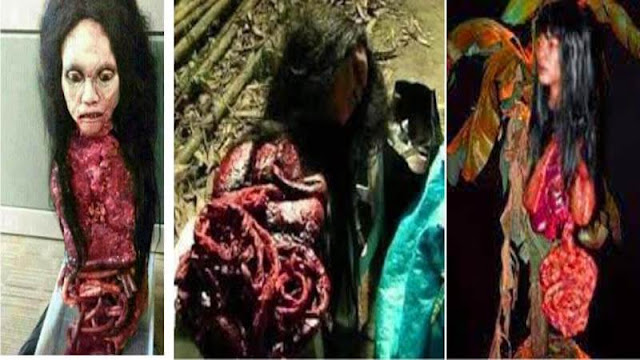 Bongkar Fakta Hantu Kuyang, yang Katanya Hantu ini Penghisap Darah Wanita Hamil Bongkar Fakta Hantu Kuyang, yang Katanya Hantu ini Penghisap Darah Wanita Hamil