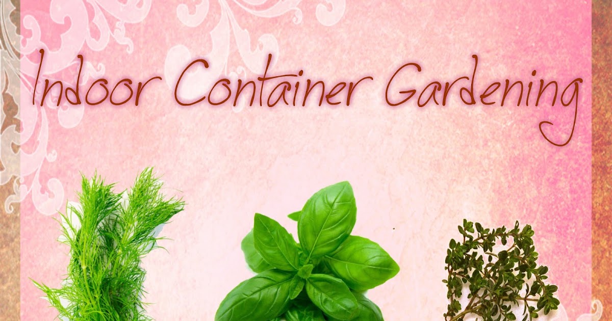 Indoor Container Gardening: 3 Summer Herbs to Grow - Greenify Me