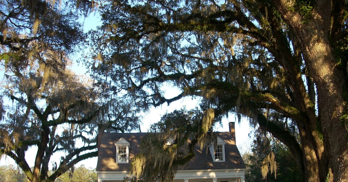 advance reading copy