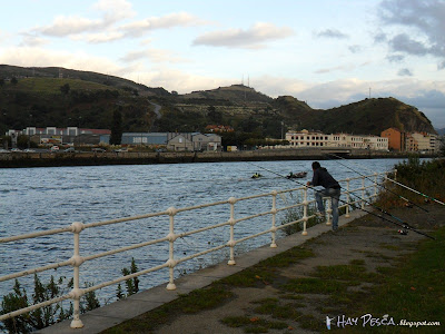 Pescando bajo el puente Rontegi