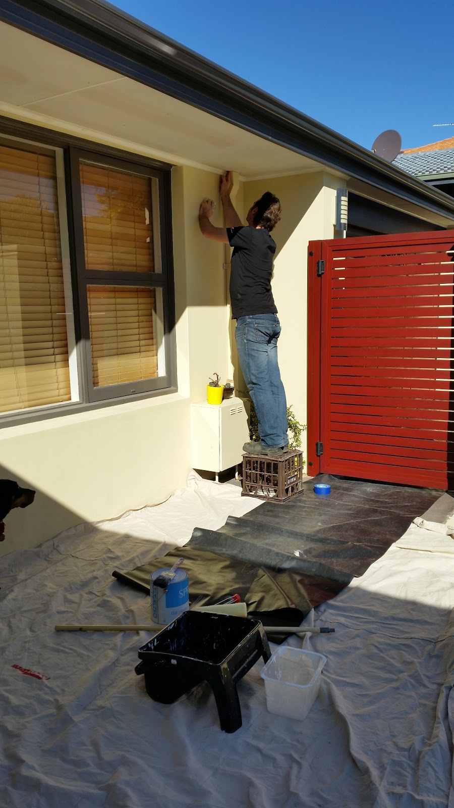 Jarrah Jungle DIY Painting The Eaves Around The House