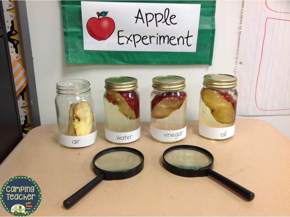 CampingTeacher: Apples Experiment